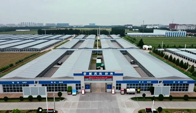 优化就诊流程中的常见问题与维护建议